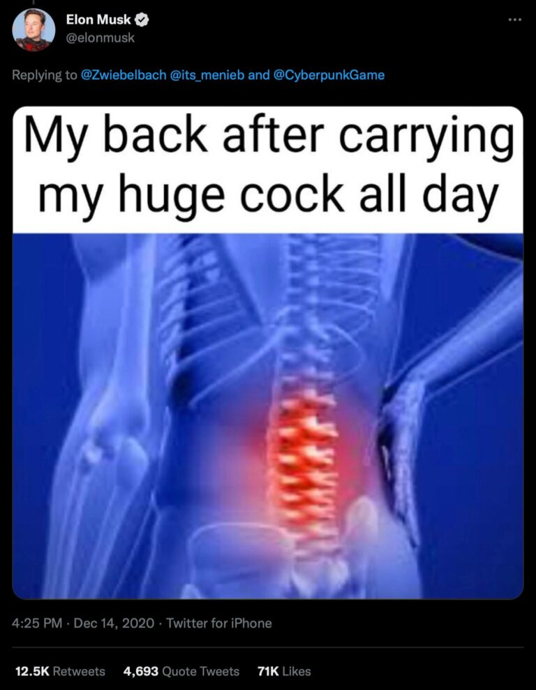 Elon sharing a meme that says "My back after carrying my huge cock all day"