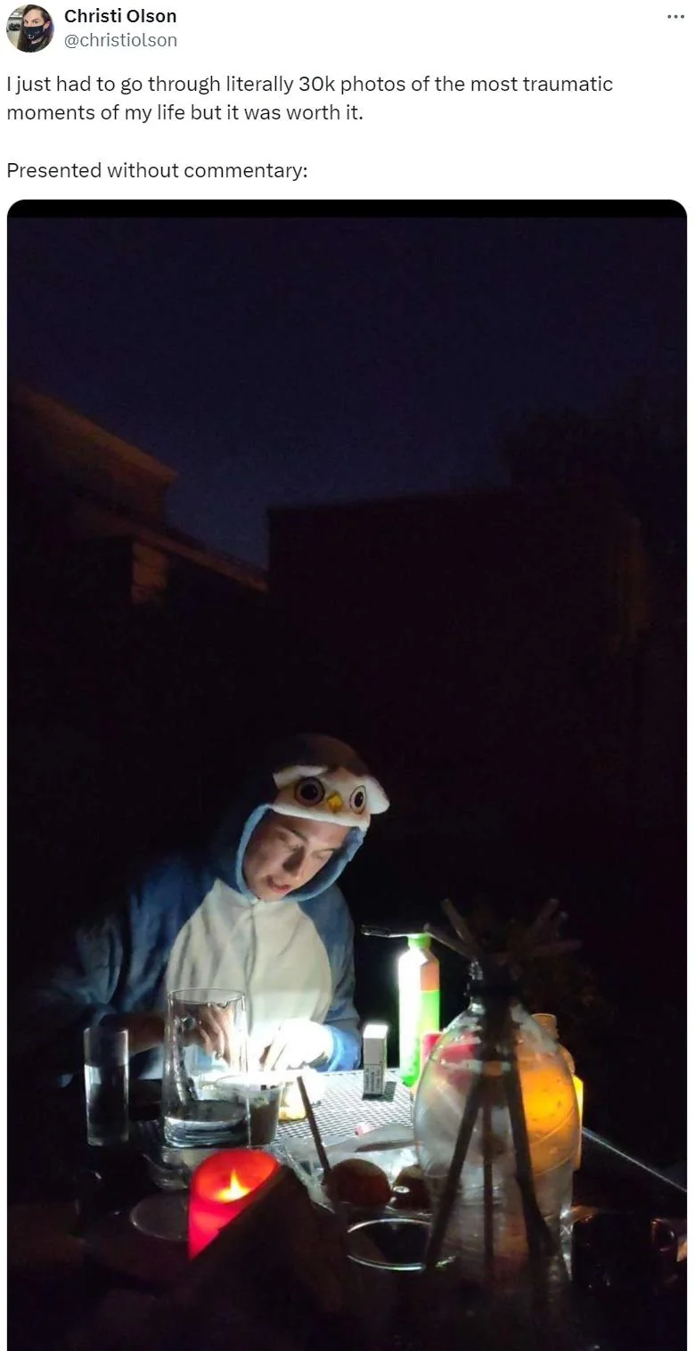 A Twitter user by the name of @christiolson sharing an old image of Elon dressed as some kind of an owl or other bird at a Babyfur meetup.