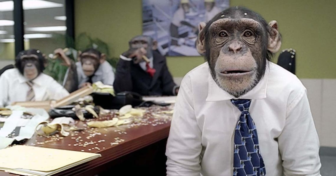 Equifax is overrun with monkeys