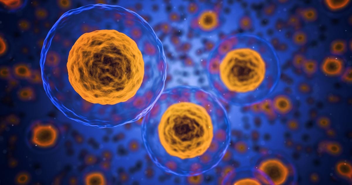 The mitochondria is the powerhouse of the cell!