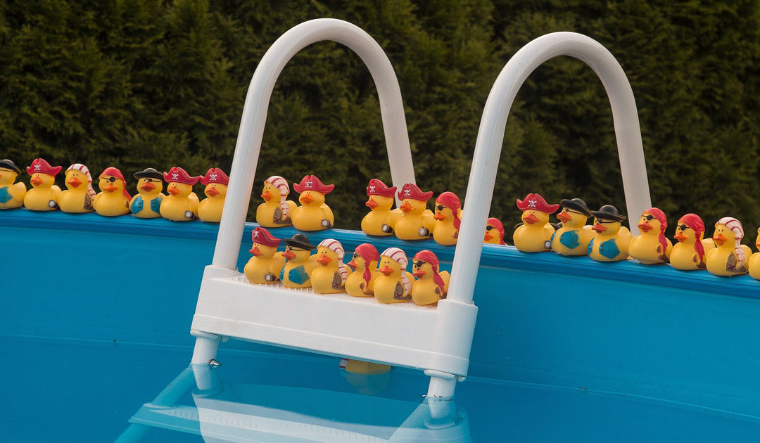 Pool Toy Descriptions or Tinder Profile Taglines
