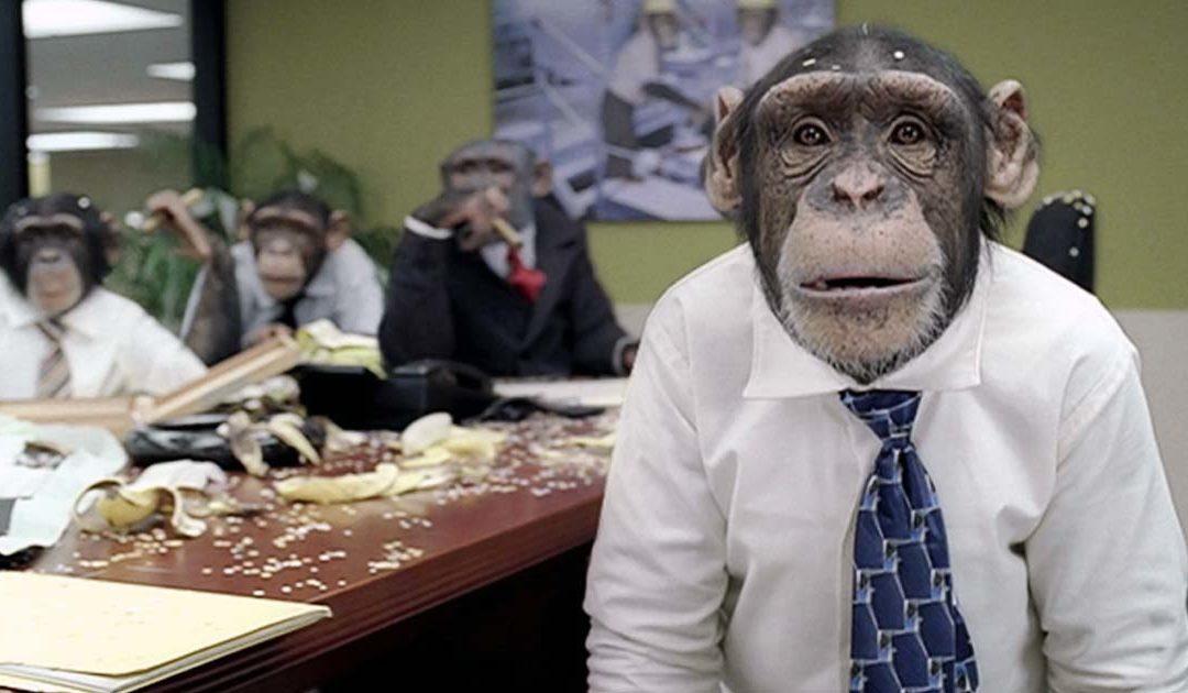 Checking In: God Damn Monkeys