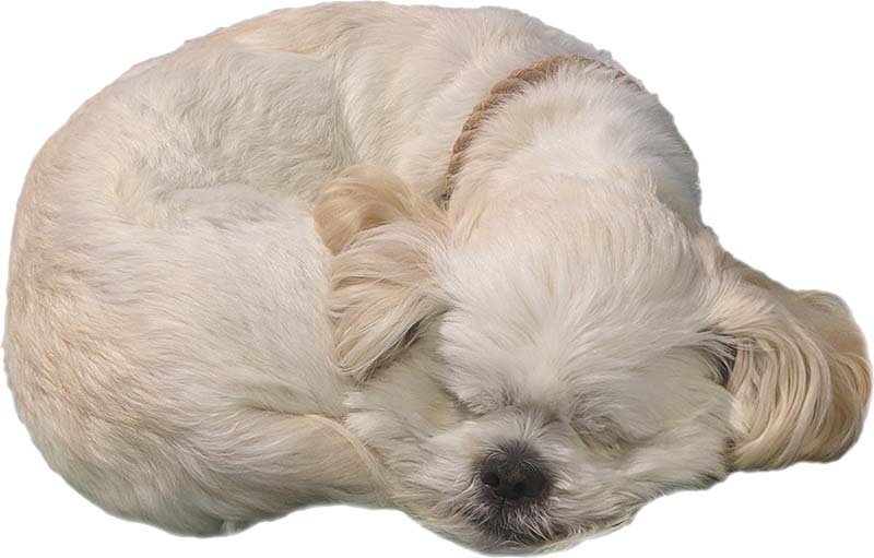Kelsier, sound asleep on the sidebar
